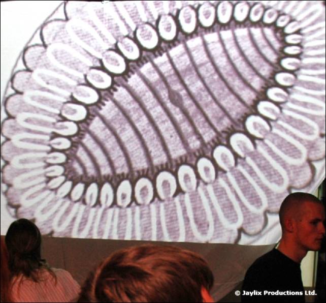 A large projected pattern of white ovals on a screen, with a bald man and audience below