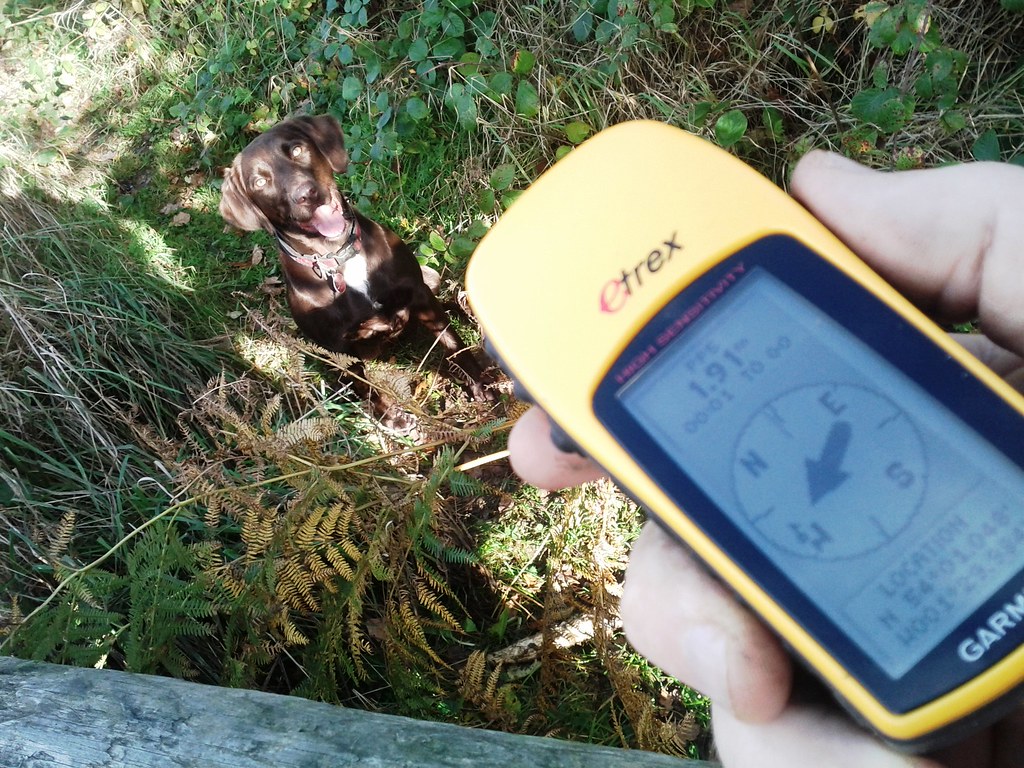 garmin