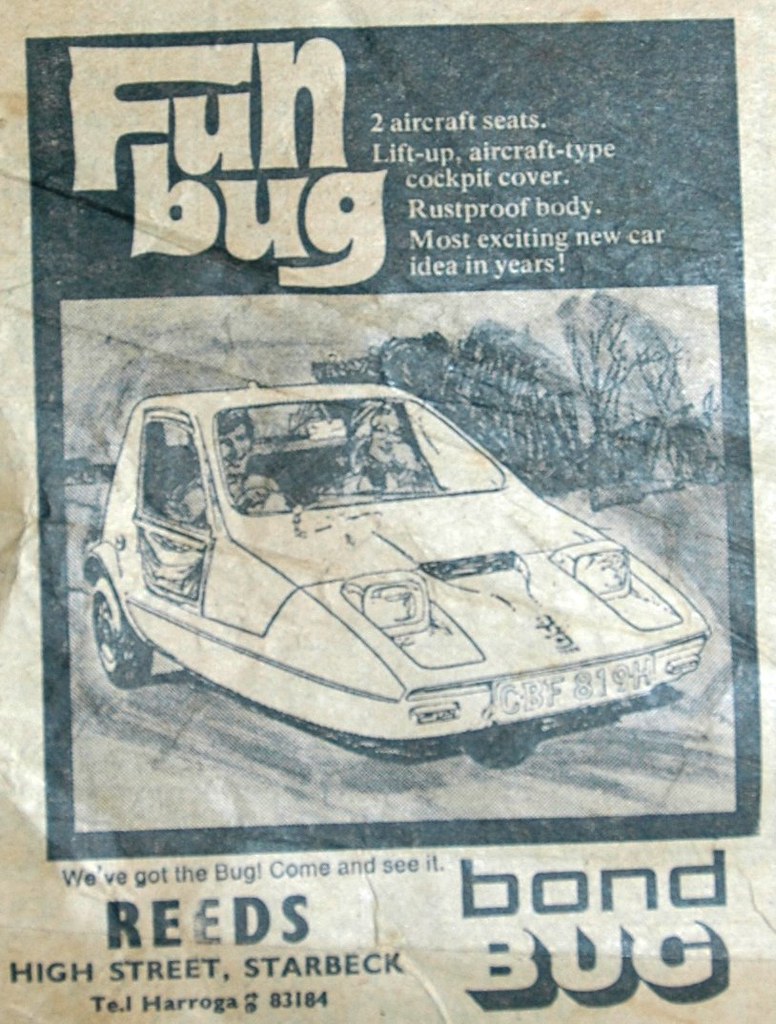 Fun Bug