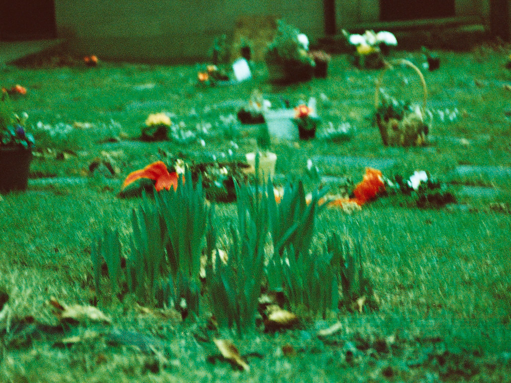 Christchurch graveyard