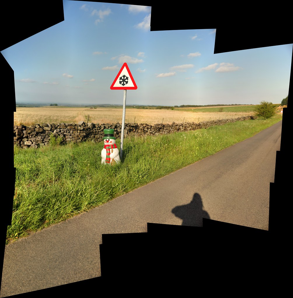 DSC_0206_stitch