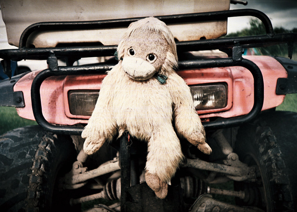 Roadkill