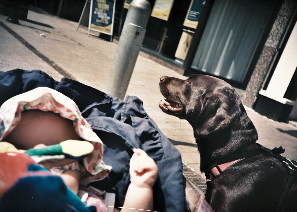 Baby and dog