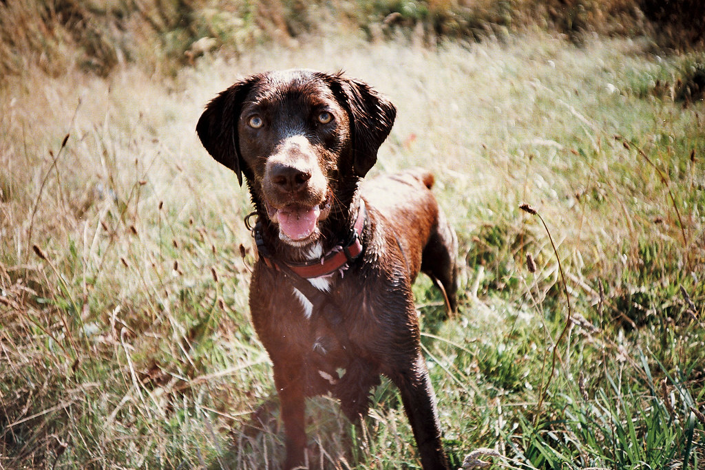 Photo24_0