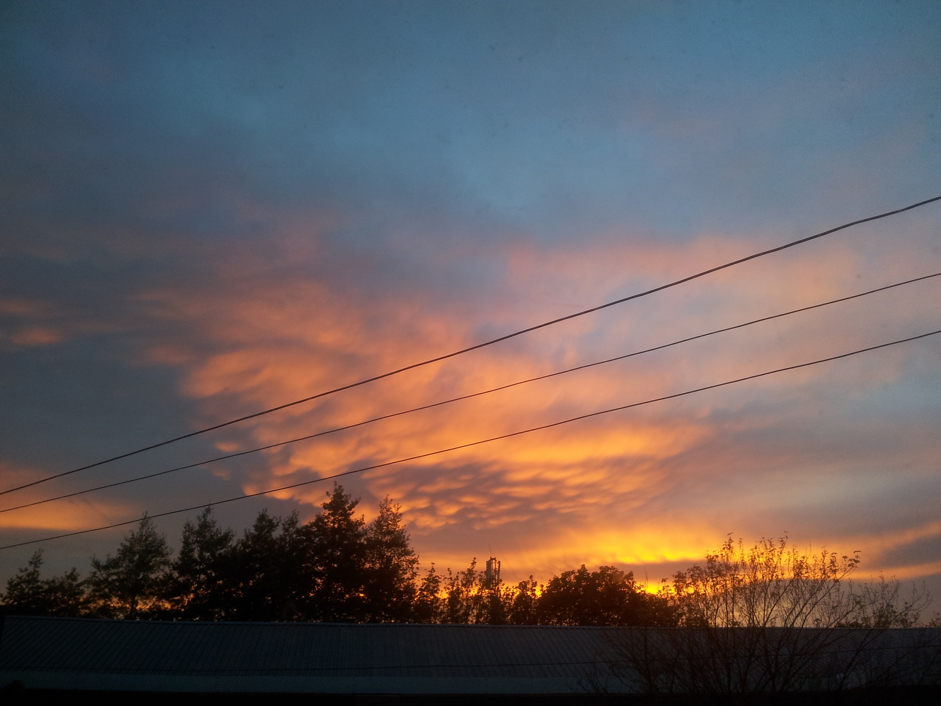 A sunset with orange clouds over dark trees and power lines