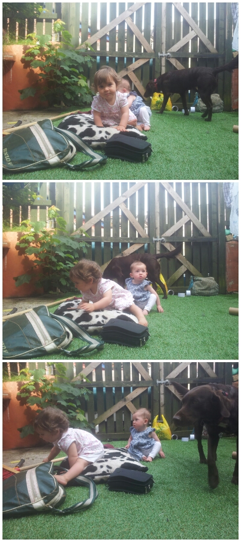 A collage of toddlers playing on artificial turf in a yard, with a black dog nearby