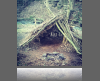A small shelter made of branches leaning against a bank