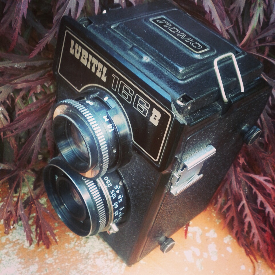 Black Lubitel 166 B twin lens reflex camera resting on dark red leaves