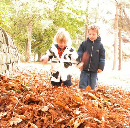 Two small children standing in a pile of autumn leaves beside a stone wall