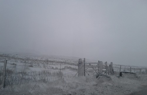 Snowy moorland with a wooden gate and fence under a grey sky