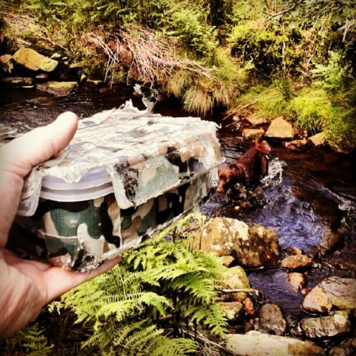 A hand holds a camouflage-wrapped box above a stream with ferns, with a dog behind
