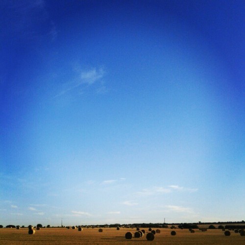Blue sky over a stubble field with round hay bales along the horizon