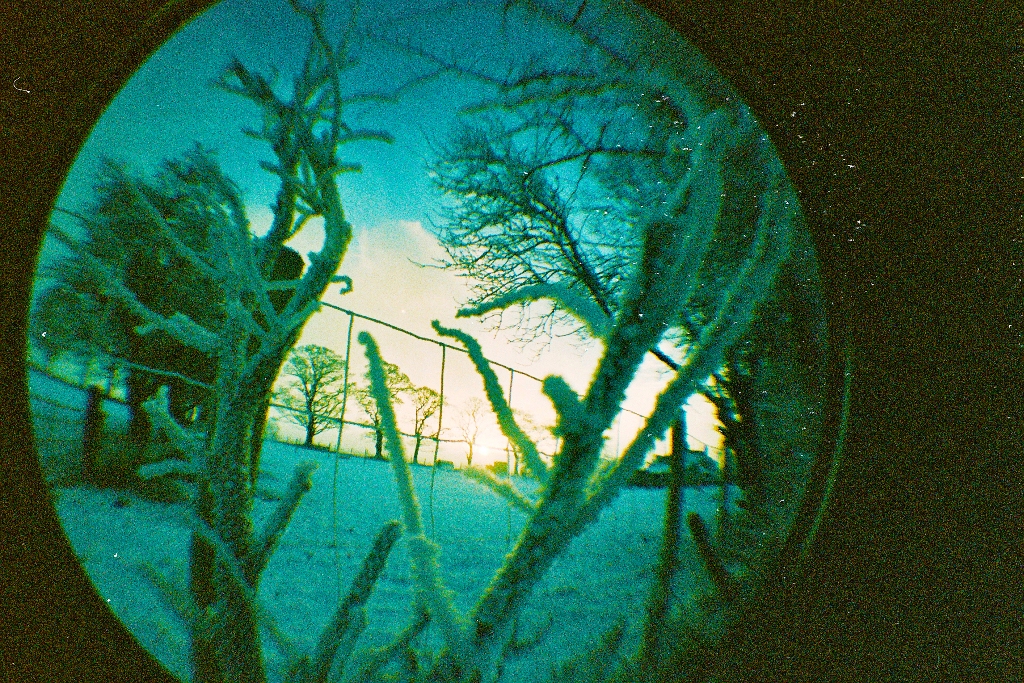 Fisheye view of frosted bare branches and a fence against a teal sky