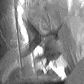 Blurred black-and-white shot of a person bending over a table