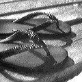Black and white photo of two pairs of flip-flops on the ground