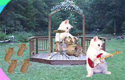 Two white cats, one drumming and one playing a red guitar, on a garden stage with small mice in front
