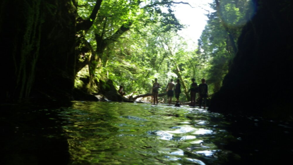 Silhouetted people stand on a log in a green, wooded gorge with a stream in the foreground
