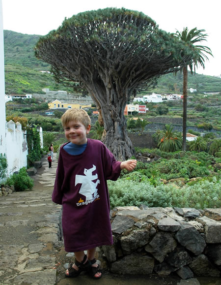 Jaygo, Millennium DRAGON Tree, Tenerife, Dec 2005
