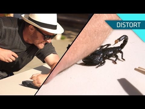 Thumbnail of a YouTube video