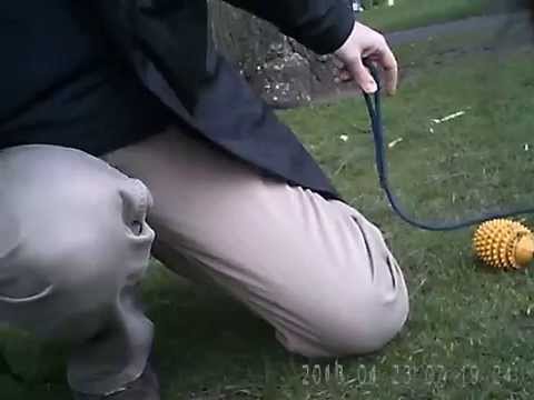 Thumbnail of a YouTube video